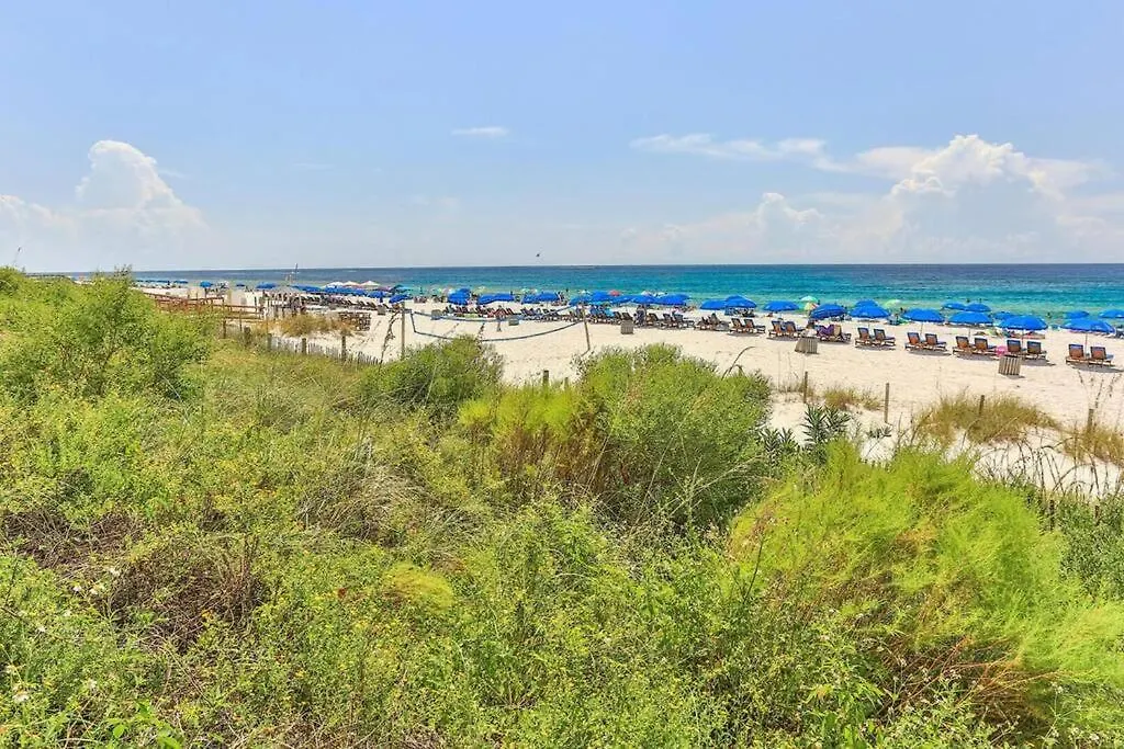 Beachfront Studio #909 At Majestic Panama City Beach 0*,  USA